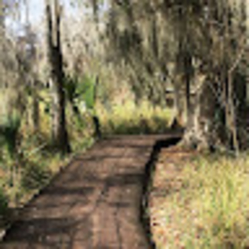 Meet your Posher, Bayou